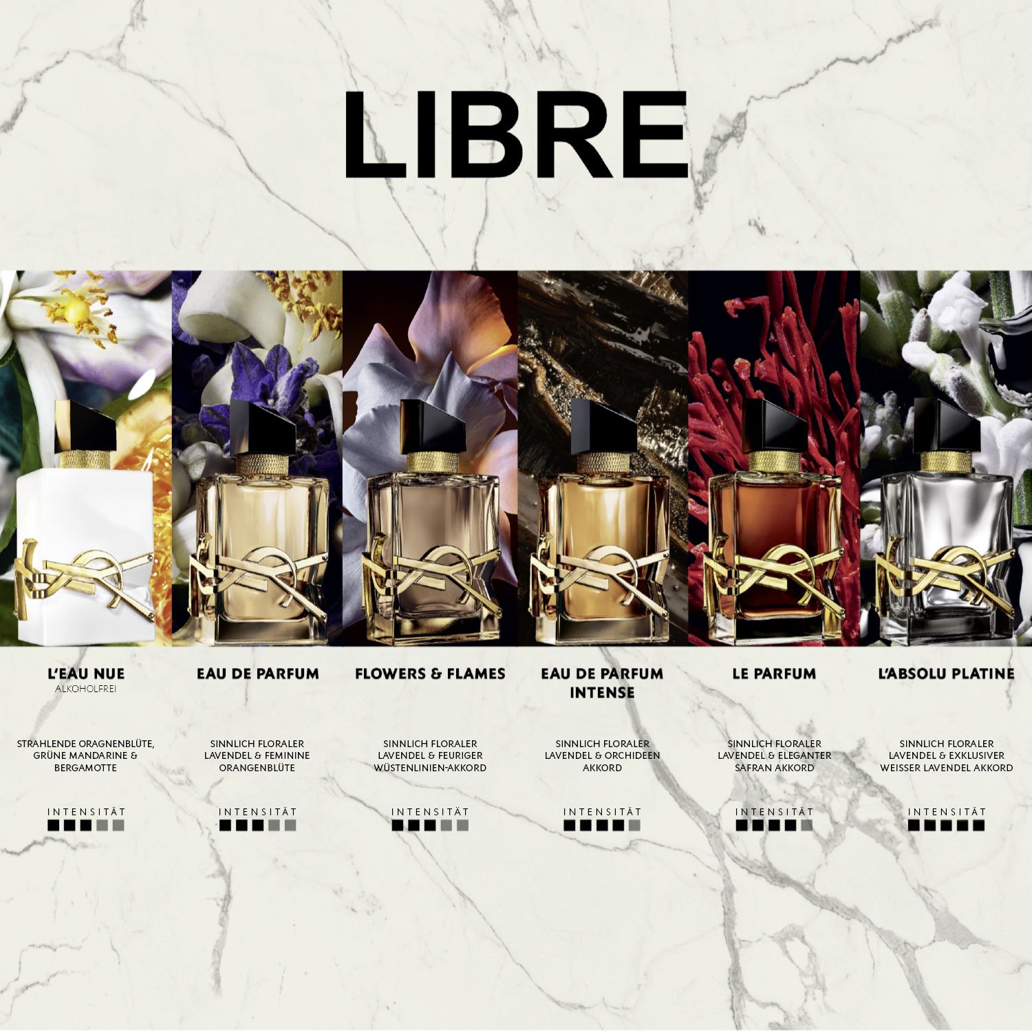 Libre L'Absolu Platine Parfum