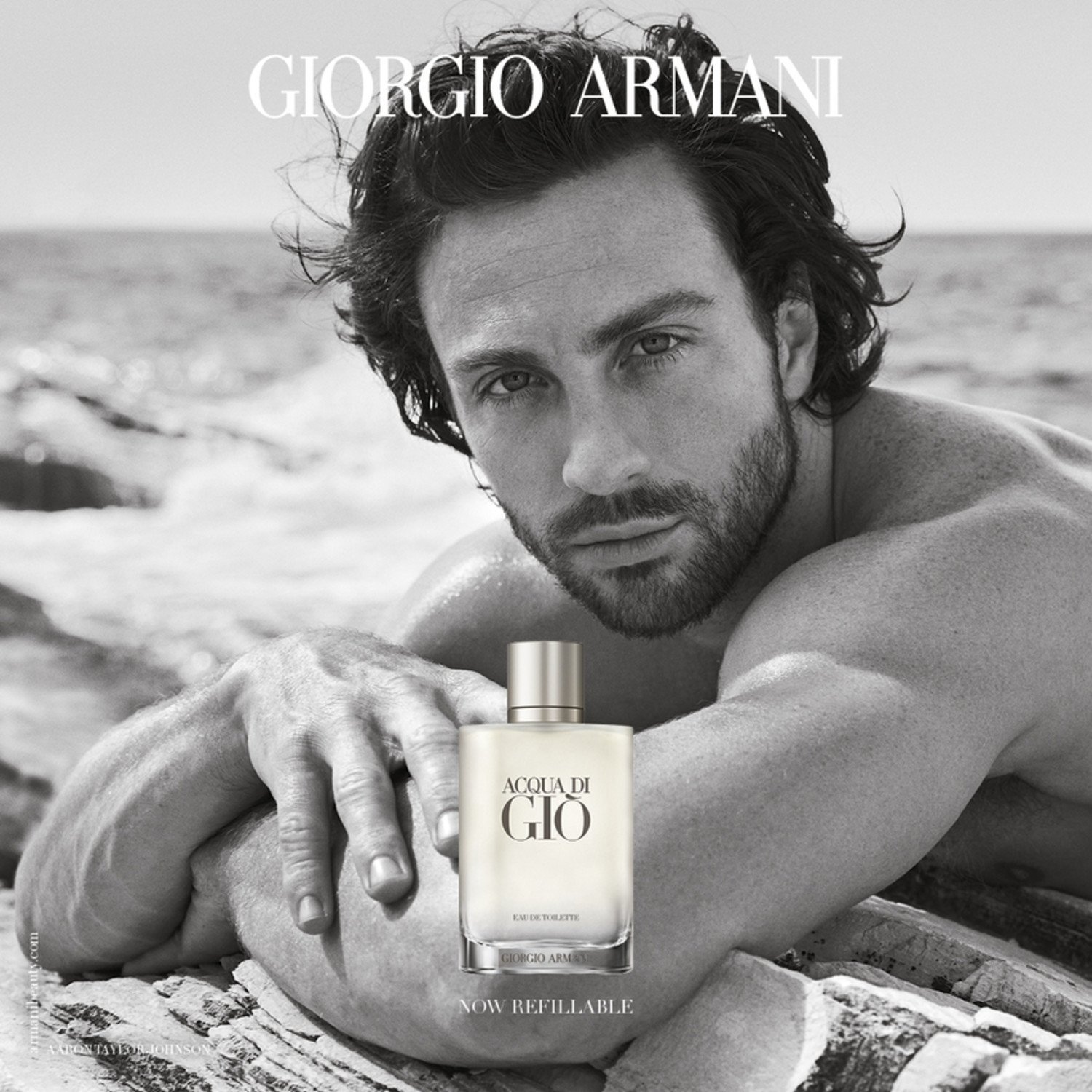 Acqua di Giò Homme Eau de Toilette