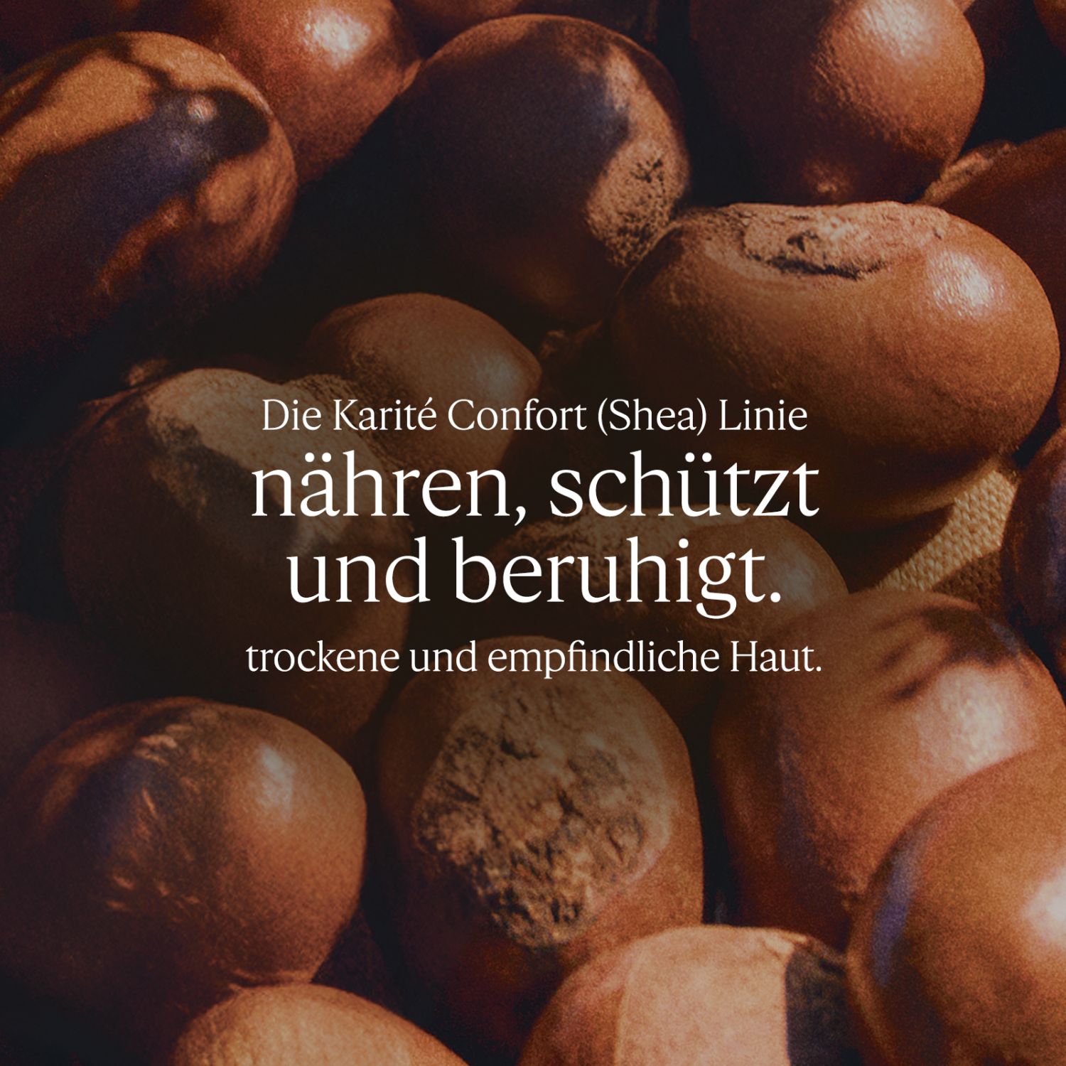 Karité Confort Shea Intensiv pflegender Fussbalsam