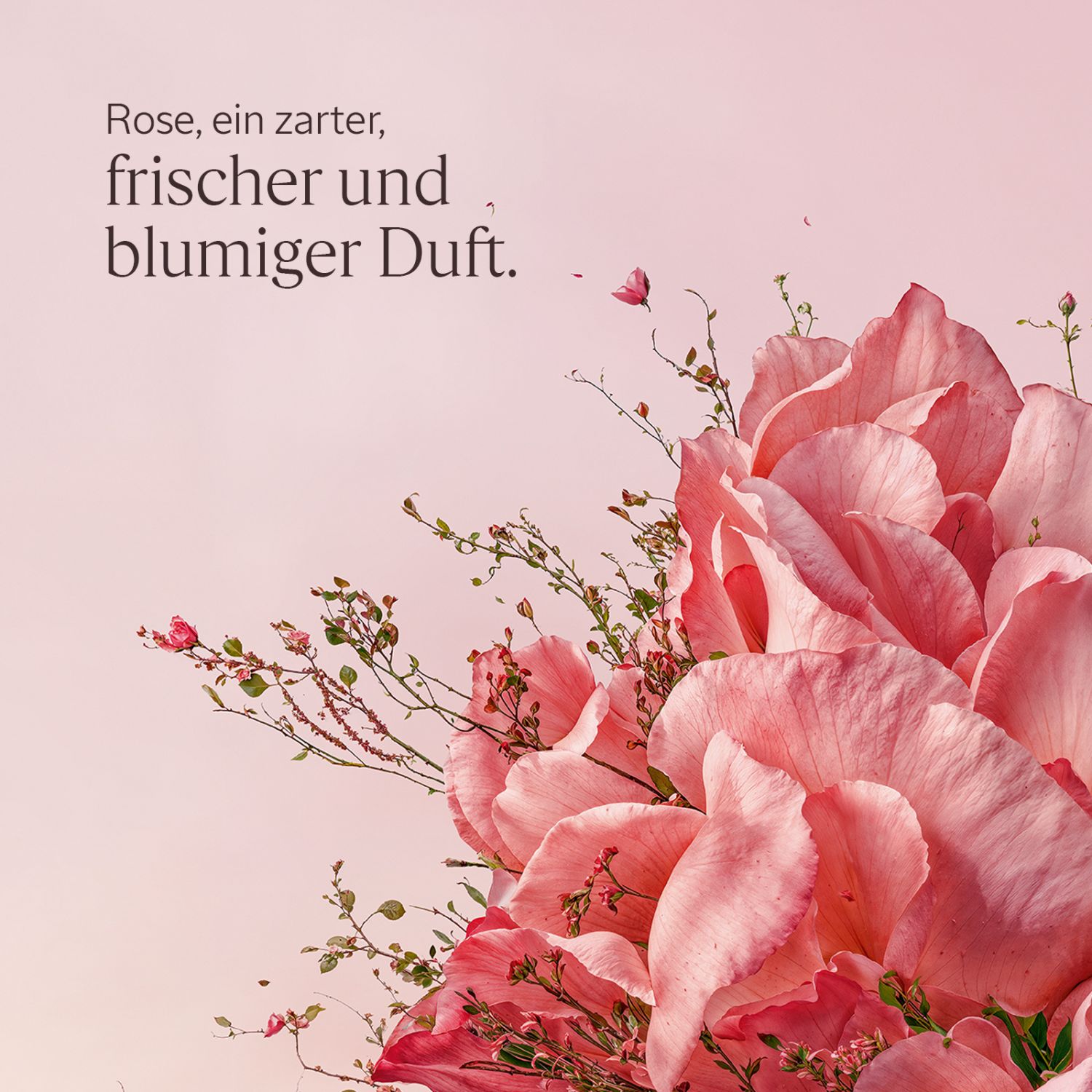 Rose Eau de Toilette