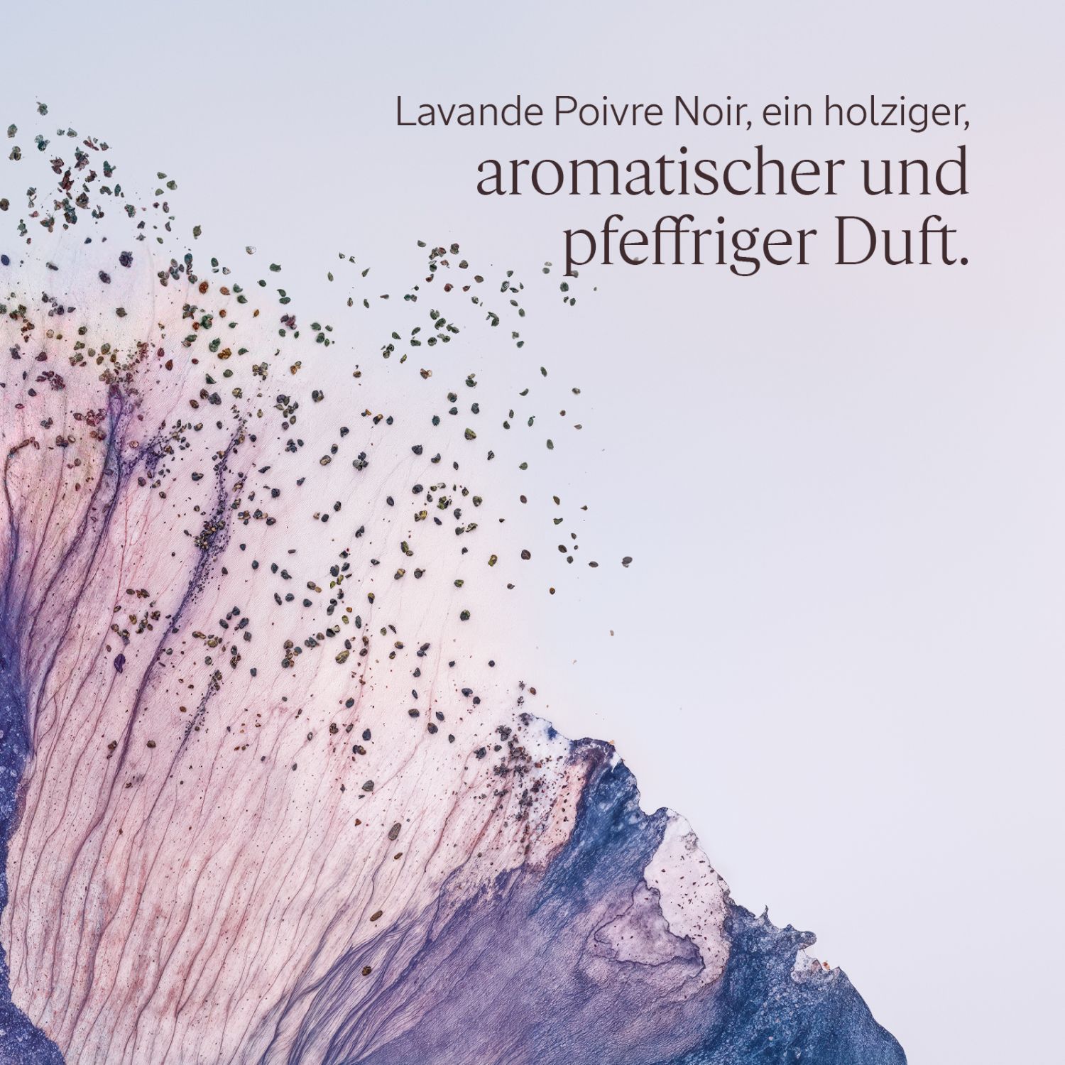 Lavende Poivre Noir EDT 50ml