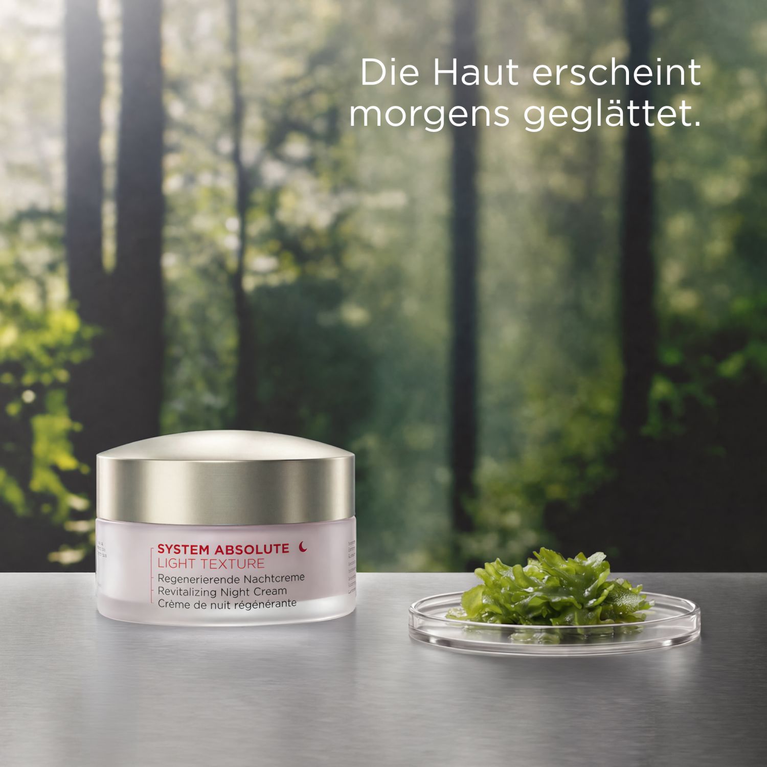 SYSTEM ABSOLUTE Regenerierende Nachtcreme Leichte Texture
