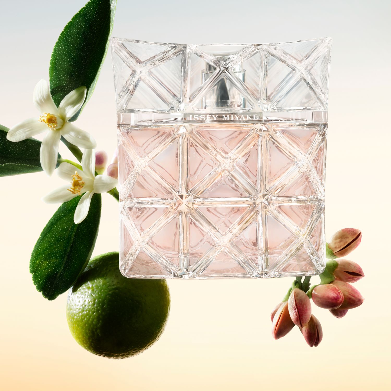 Lumière dIssey Shower Cream