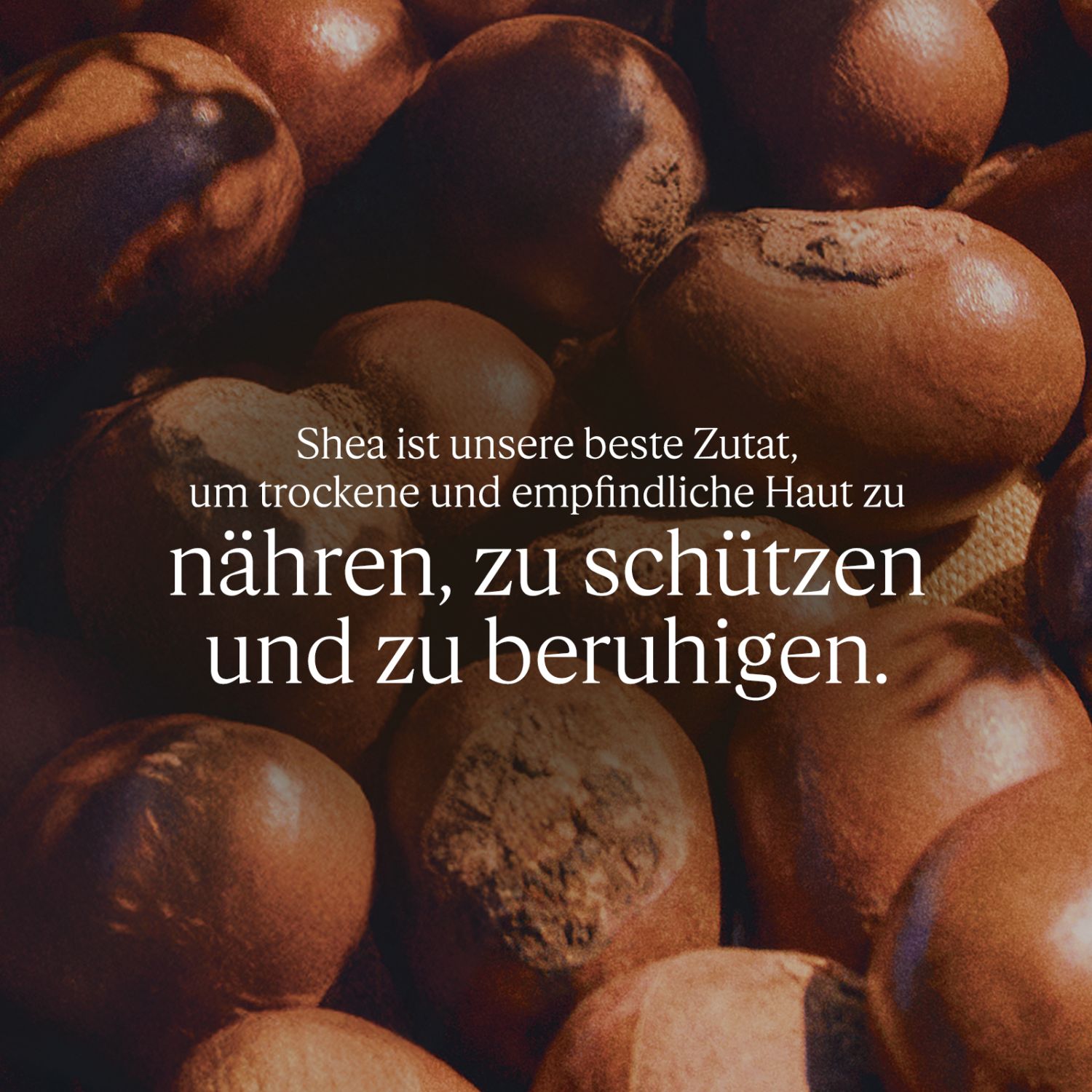 Sheabutter Seife