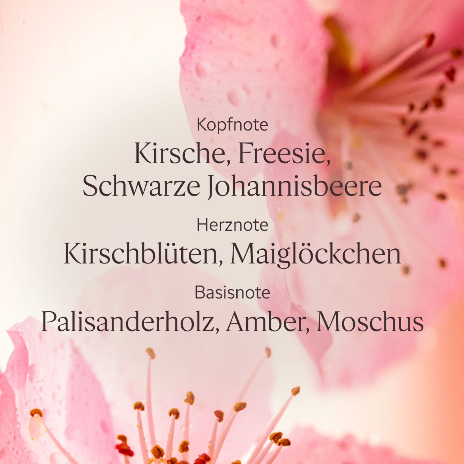 Fleurs de Cerisier Handcreme 30ml