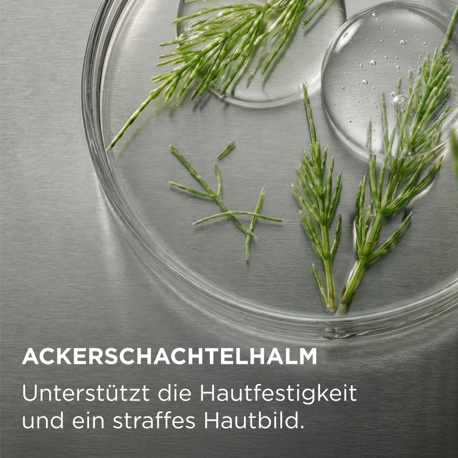 FACE-FIRMING GEL Verfeinerndes Gesichtsstraffungs-Gel