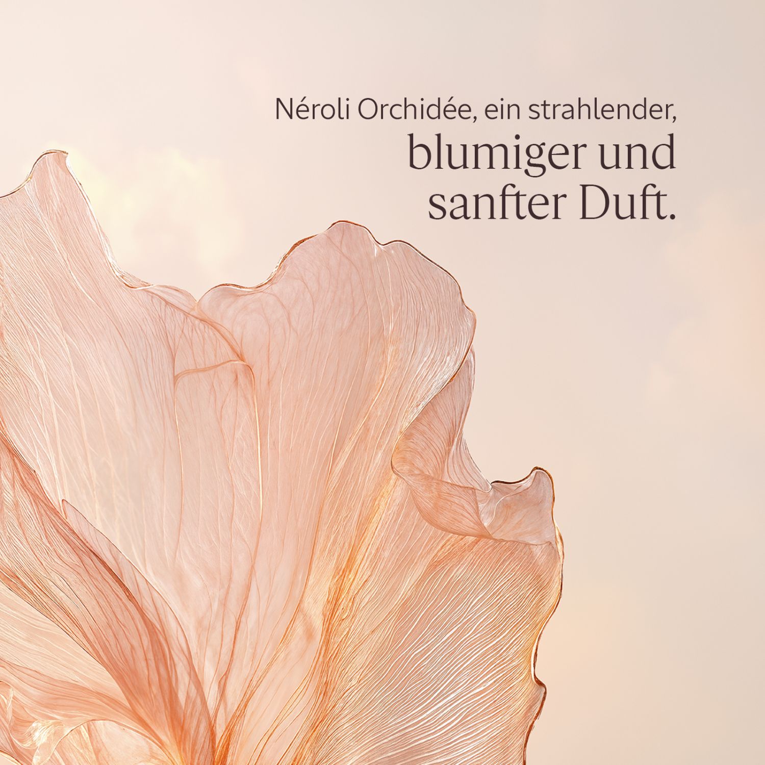 Neroli Orchidee Duschgel 250ml
