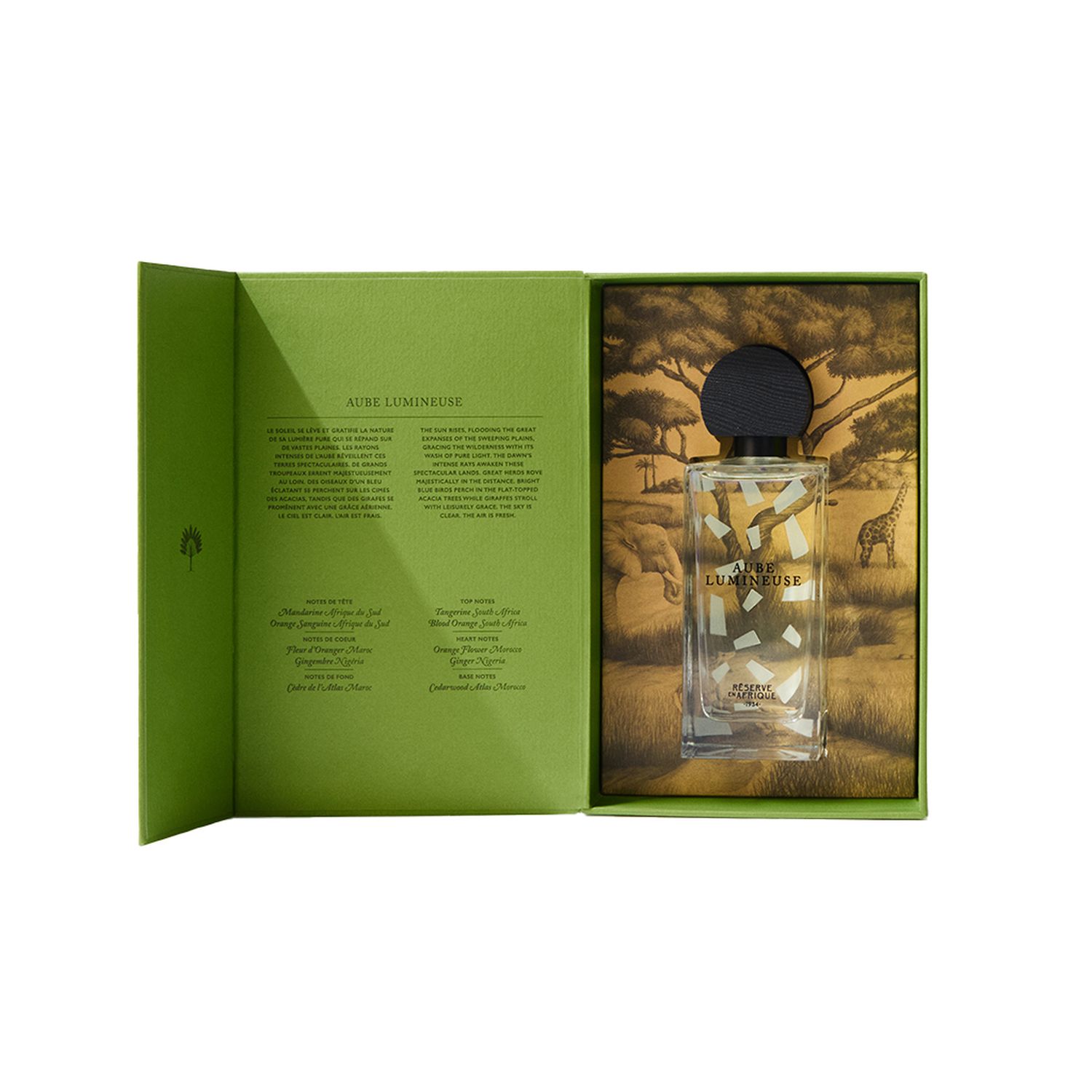 Aube Lumineuse EDP 100ml