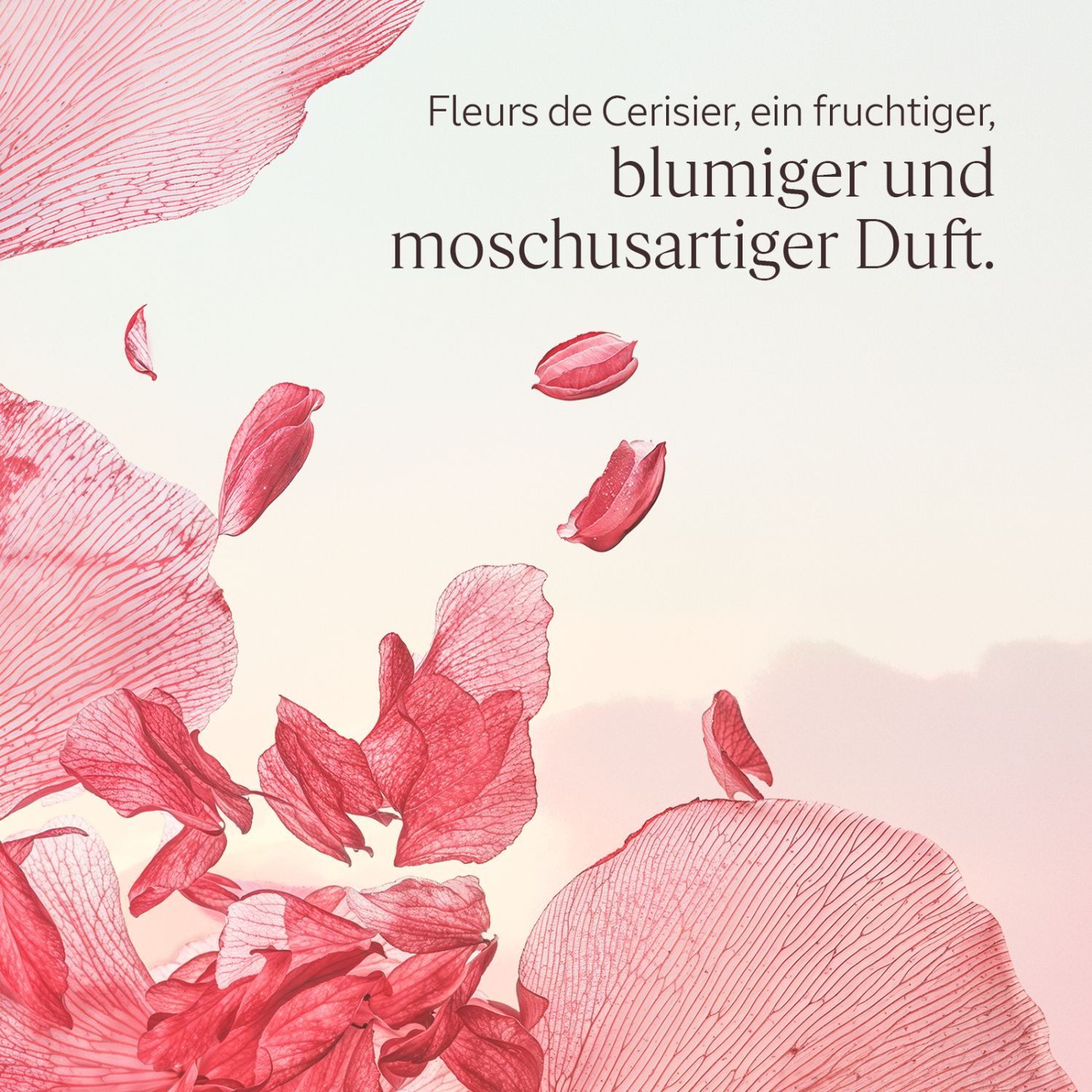 Fleurs de Cerisier EDT 50ml